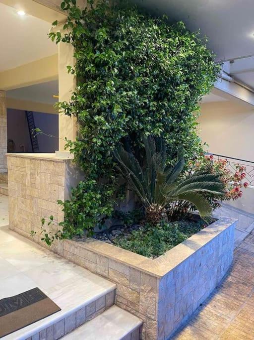Newly Built With Amazing View Apartment *