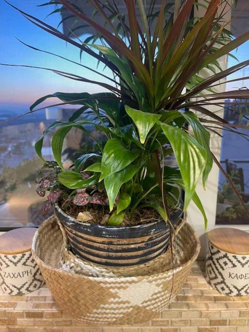 Newly Built With Amazing View Apartment *