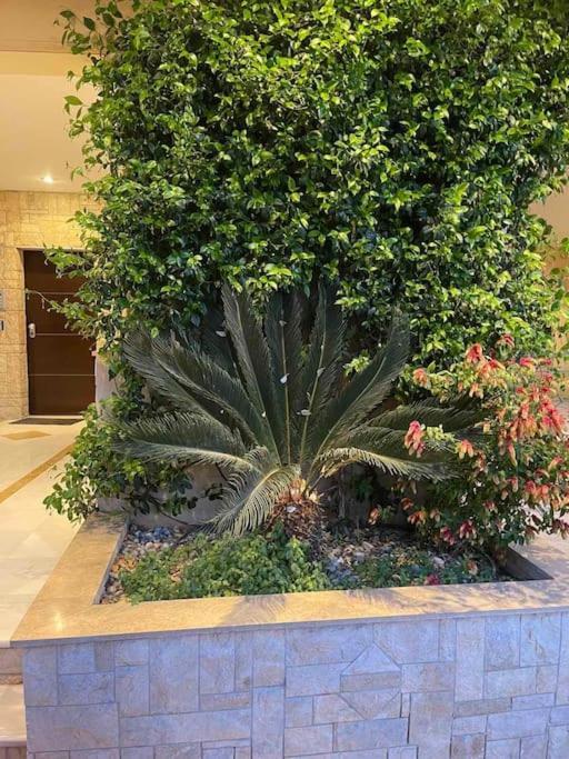 Newly Built With Amazing View Apartment