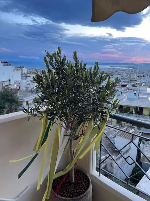 Newly Built With Amazing View Apartment